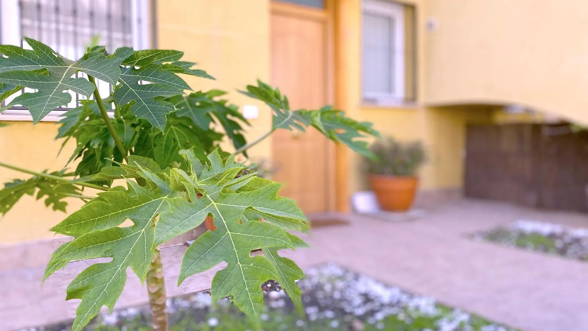 Apartmán Tropicalidays Altos Del Roque Costa Adeje  Costa Adeje (Tenerife)